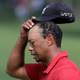 Illustration for article titled Should You Fuck Tiger Woods?